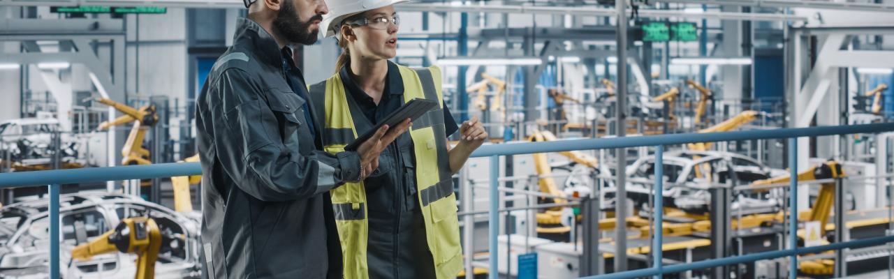 HSE services